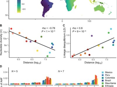 diagram - characterization and phylogenetic analysis of new bat astroviruses gabon central africa