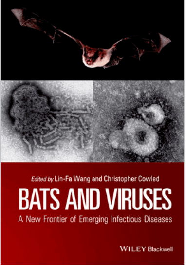 publication bat and viruses virginie rougeron