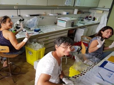 research sanitary control laboratory ebola and marburg haemorrhagic fever