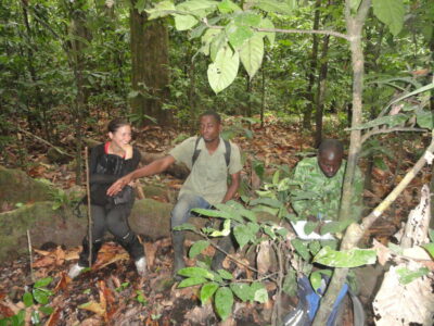 team collaboration field mision virginie rougeron origin of human and african great apes plasmodium vivax
